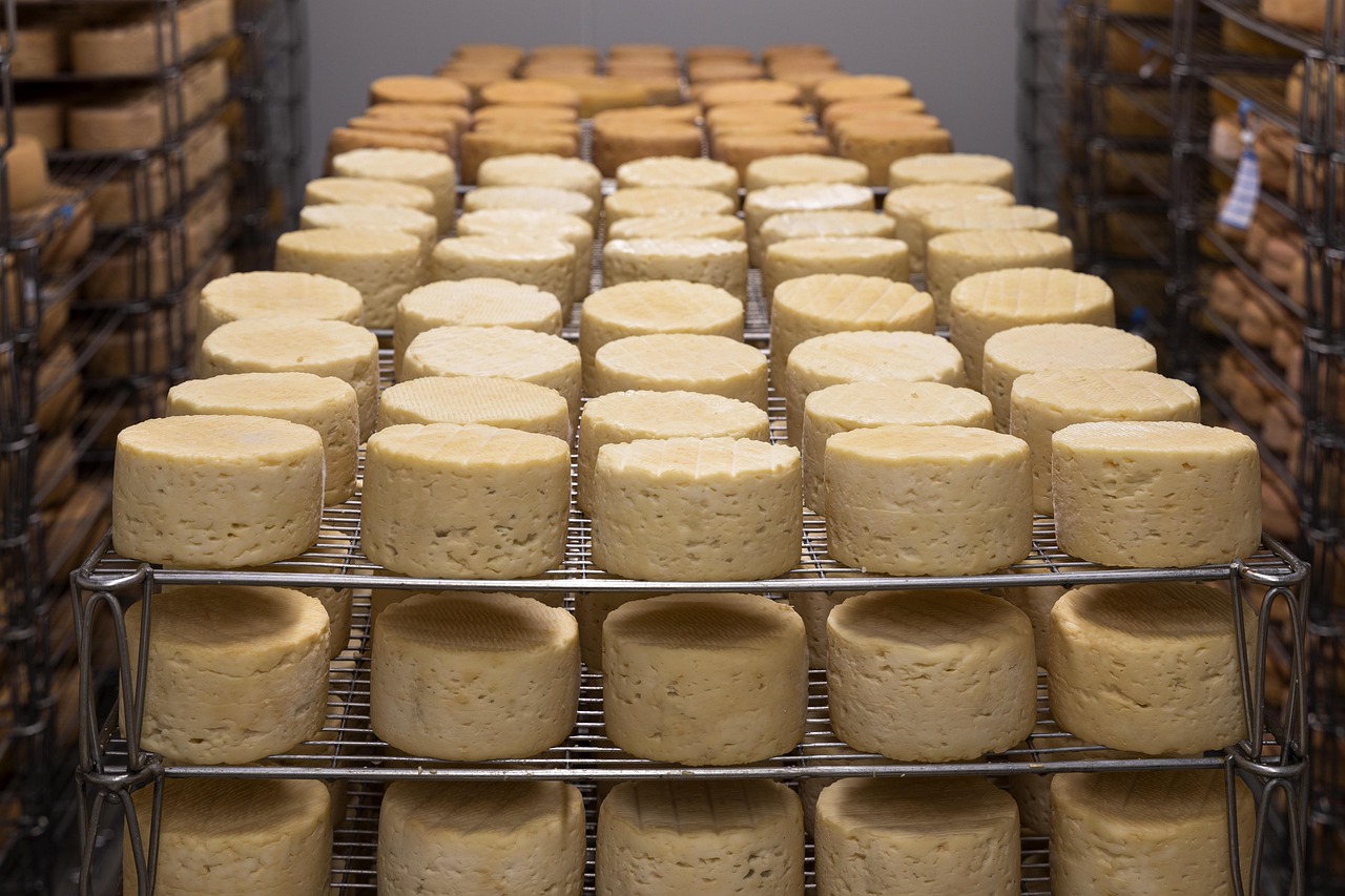 découvrez les normes d'hygiène essentielles pour la production et la conservation du fromage, garantissant qualité et sécurité alimentaire.