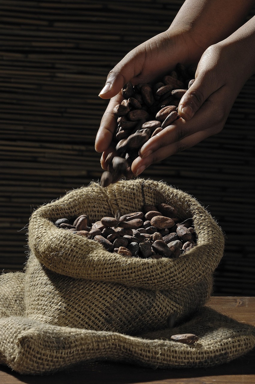 découvrez tout sur les fèves de cacao, leur origine, leurs bienfaits et leur utilisation dans la fabrication du chocolat.